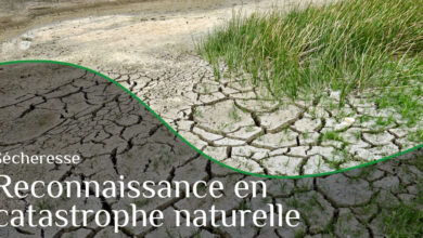 Photo of Reconnaissance catastrophe naturelle – Sécheresse