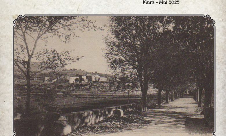 Photo of Tasie’Mag n°18